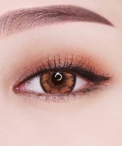 GEOLICA HoliCat Cutie Cat Brown 7 Geolica HoliCat Cutie Cat Brown Color