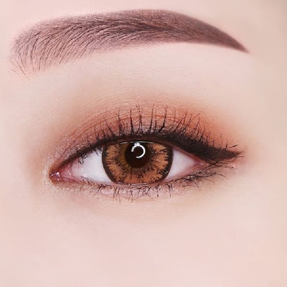 GEOLICA HoliCat Cutie Cat Brown 2 Geolica HoliCat Cutie Cat Brown Color