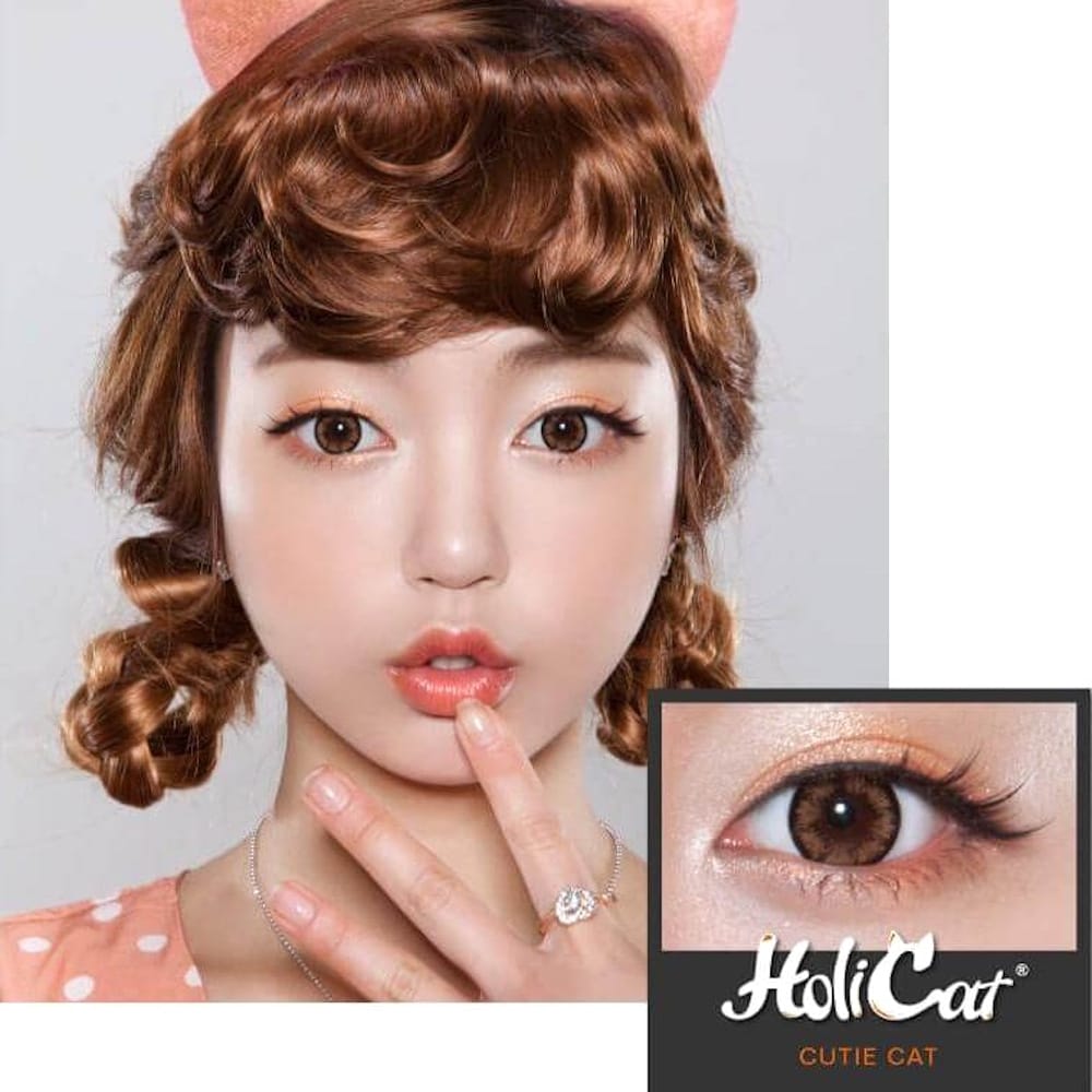 GEOLICA HoliCat Cutie Cat Brown 6 Geolica HoliCat Cutie Cat Brown Colour Lenses