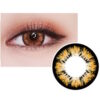 Geolica HoliCat Cutie Cat Brown Coloured Lenses