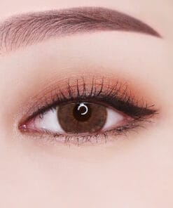 Geolica Monthly HoliCat Lovely Cat Choco