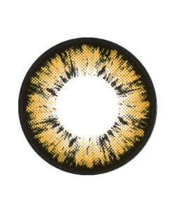 GEOLICA HoliCat Cutie Cat Brown 9 HoliCat Cutie Cat Brown