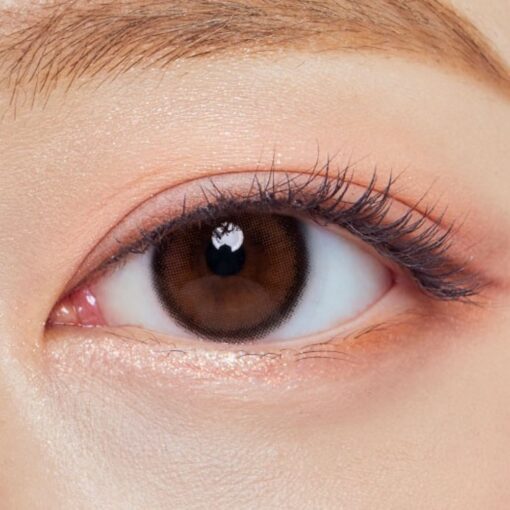 Olens 1Day Vivi Ring Choco coloured cosmetic lenses