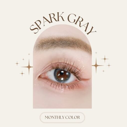 seed monthly color lens Spark Gray