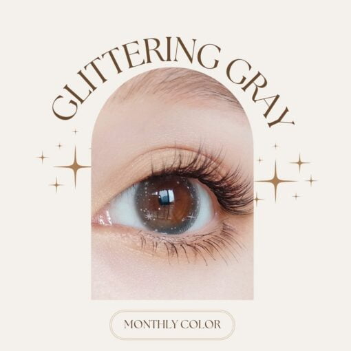 seed monthly colour lens Glittering Gray