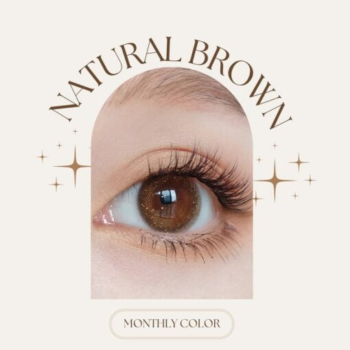 seed monthly colour lens Natural Brown