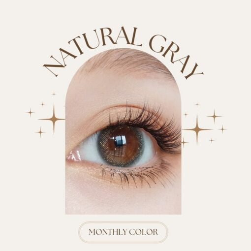 seed monthly colour lens Natural Gray