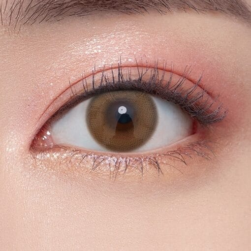 Olens Ending 1Day Brown Colored Contact Lens